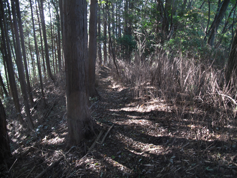 20171026hike (311)